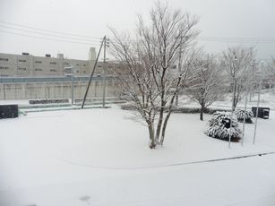 P1040443.JPG